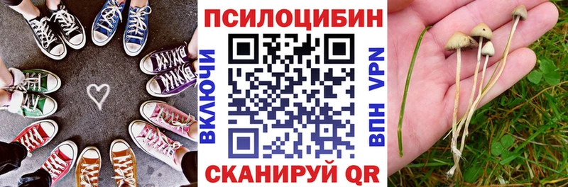 где можно купить наркотик  Благовещенск  mega маркетплейс  Галлюциногенные грибы ЛСД 