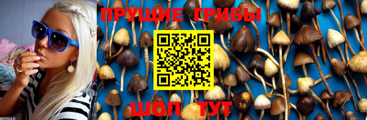 Псилоцибиновые грибы Magic Shrooms  Вход с VPN  Благовещенск 